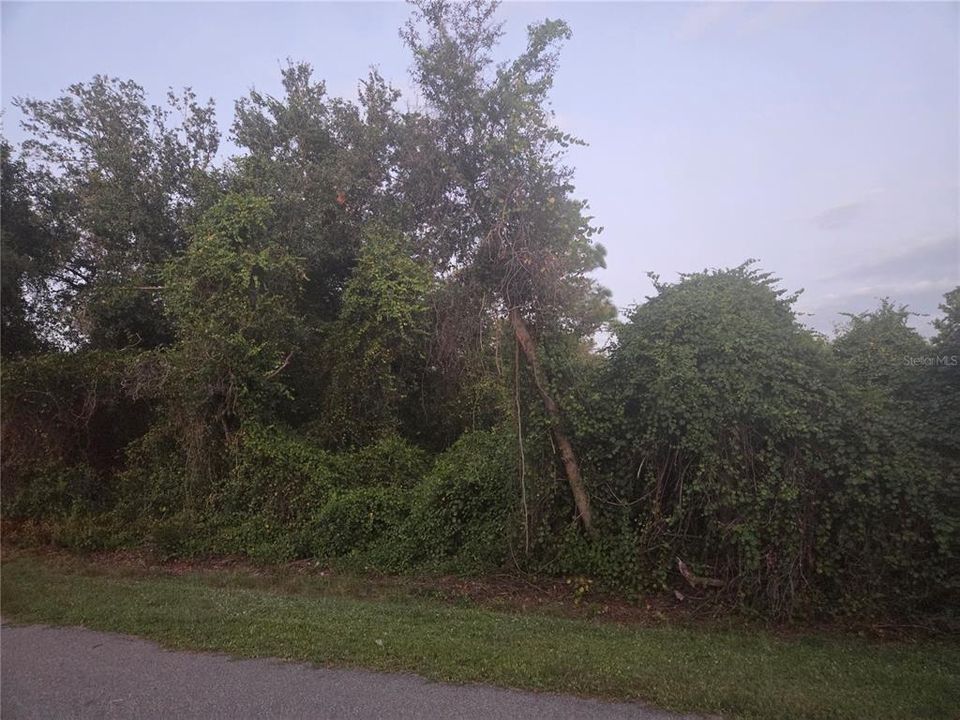 Activo con contrato: $15,000 (0.23 acres)