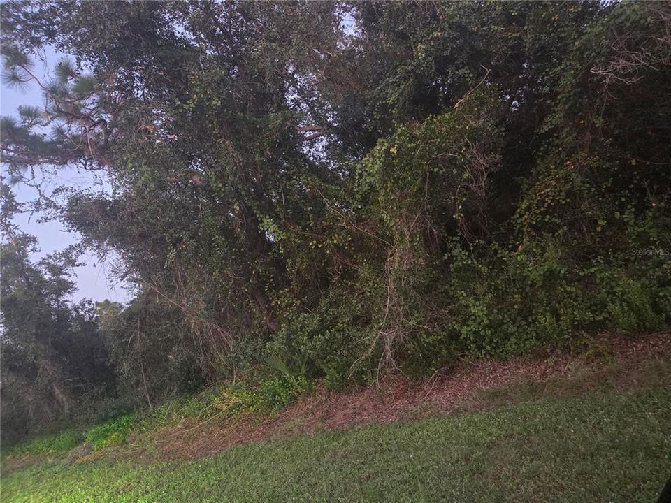 Activo con contrato: $15,000 (0.23 acres)