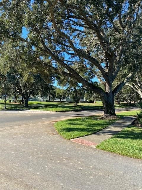 For Rent: $2,800 (3 beds, 2 baths, 1456 Square Feet)