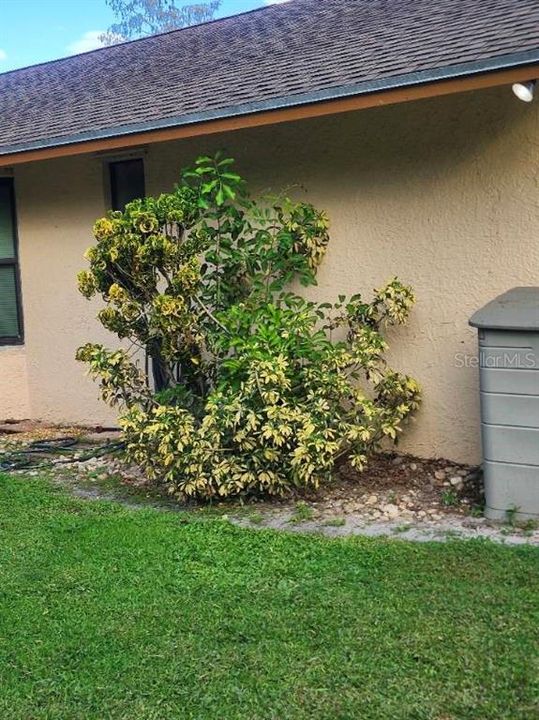 合同活跃: $579,999 (4 贝兹, 2 浴室, 2442 平方英尺)