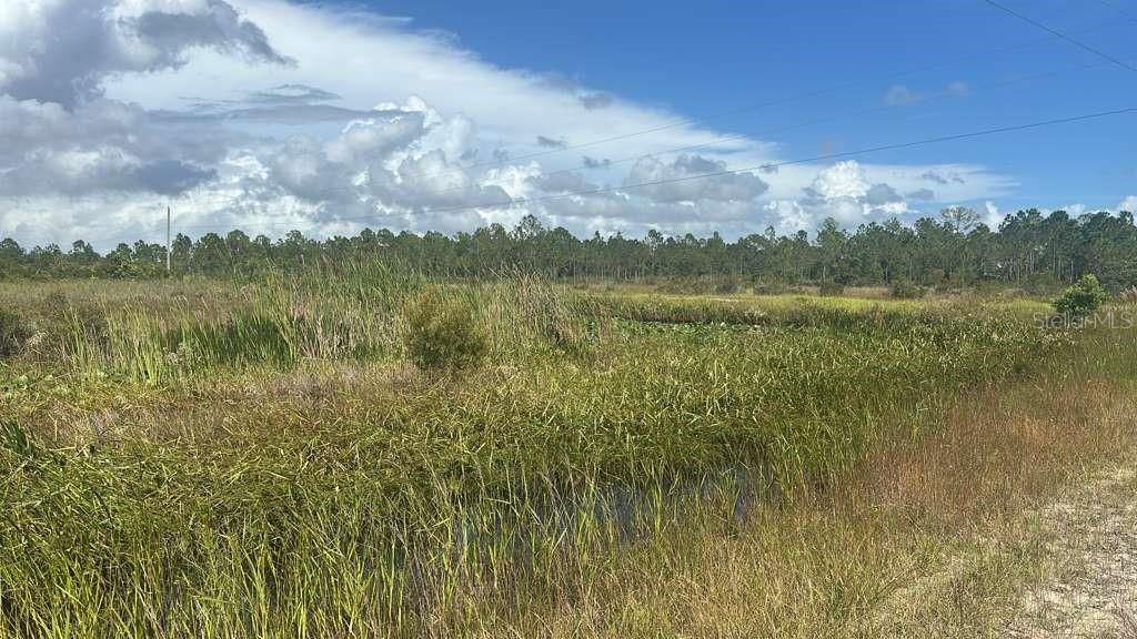 На продажу: $29,700 (1.25 acres)