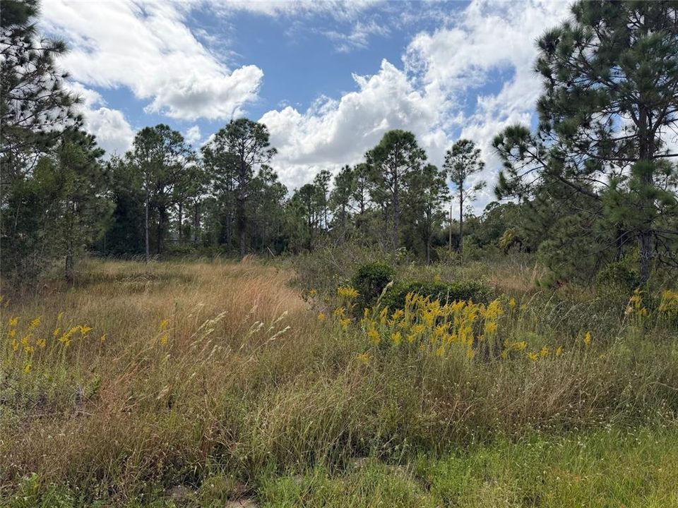 For Sale: $11,000 (0.17 acres)