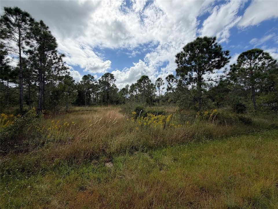 For Sale: $11,000 (0.17 acres)