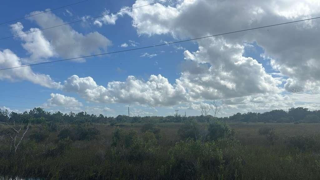 待售: $29,700 (1.25 acres)