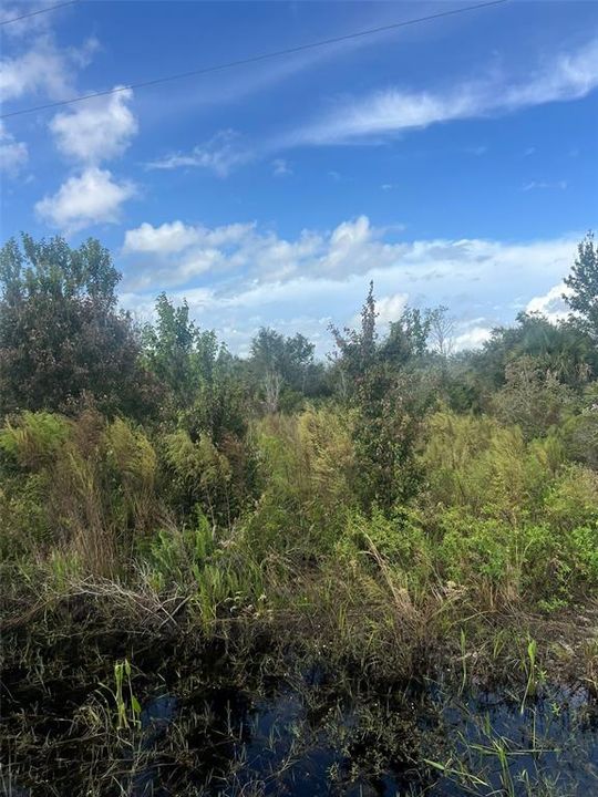 For Sale: $25,000 (1.50 acres)