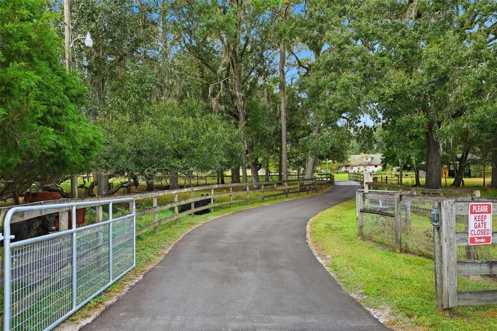 For Sale: $1,600,000 (5 beds, 4 baths, 3700 Square Feet)