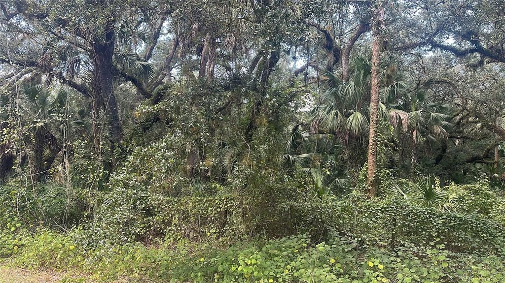 На продажу: $29,700 (1.25 acres)