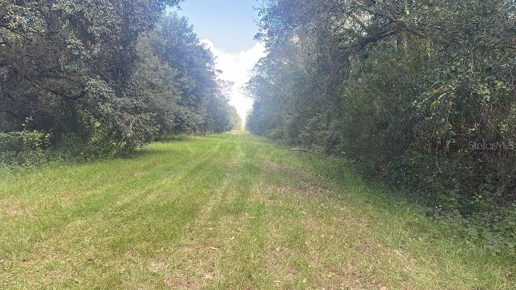 На продажу: $29,700 (1.25 acres)