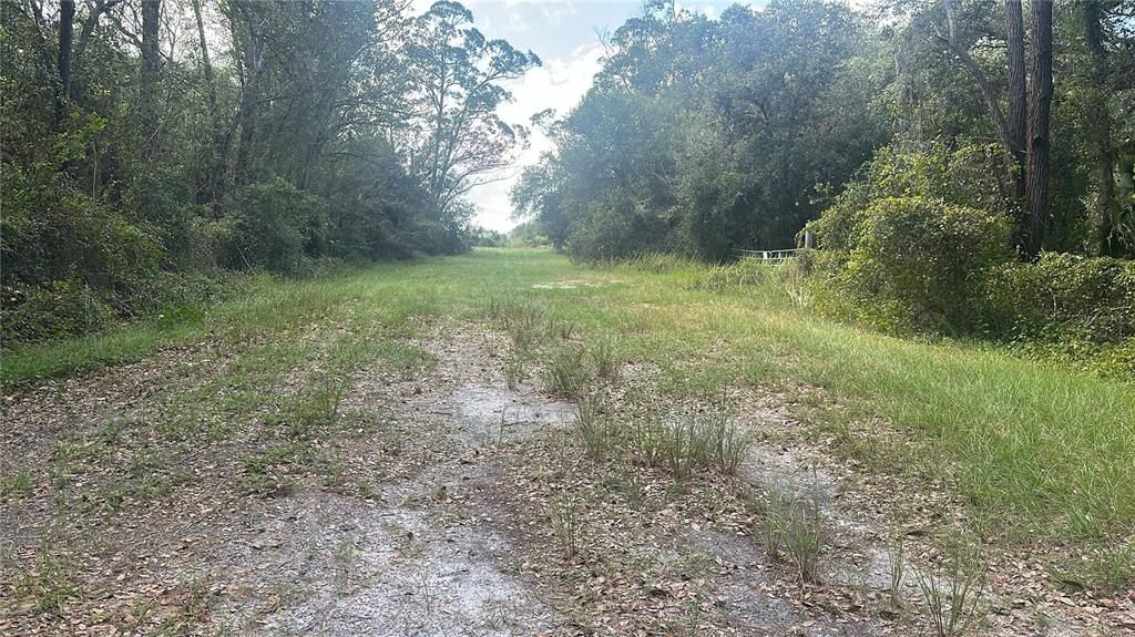 На продажу: $29,700 (1.25 acres)