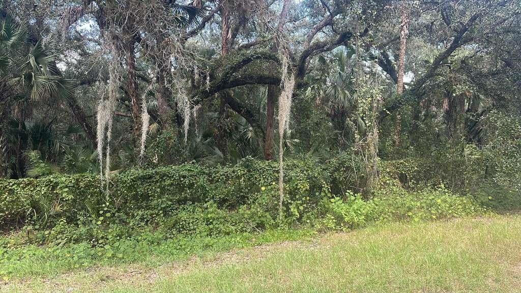 На продажу: $29,700 (1.25 acres)