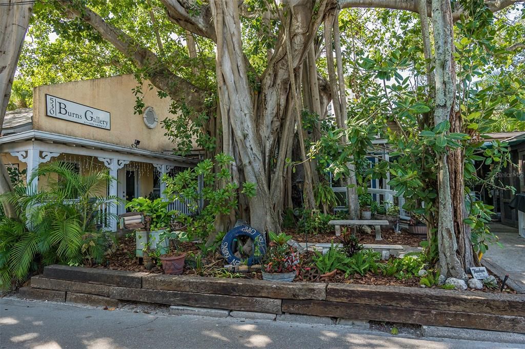 出租: $9,500 (4 贝兹, 2 浴室, 1523 平方英尺)