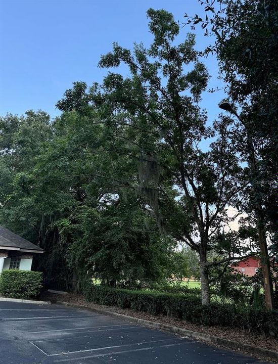 待售: $72,000 (0 贝兹, 0 浴室, 4138 平方英尺)