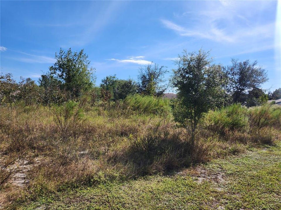 For Sale: $65,900 (0.33 acres)