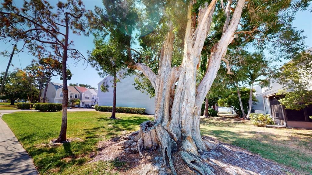 Activo con contrato: $1,990 (2 camas, 2 baños, 1061 Pies cuadrados)