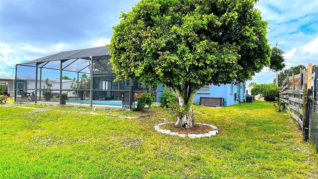 Activo con contrato: $359,900 (3 camas, 2 baños, 1427 Pies cuadrados)