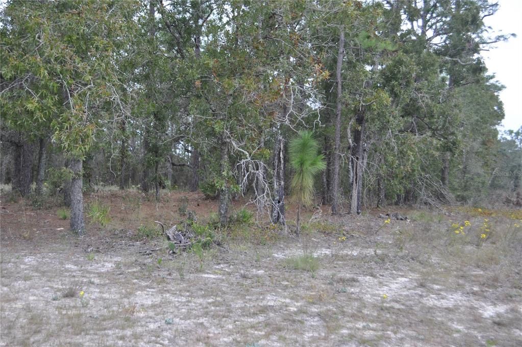 待售: $240,000 (6.09 acres)