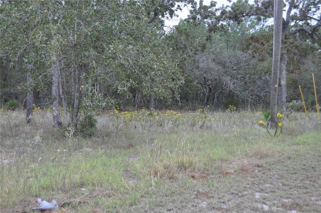 待售: $240,000 (6.09 acres)