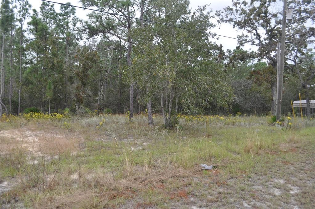 待售: $240,000 (6.09 acres)