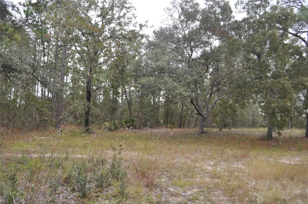 待售: $240,000 (6.09 acres)