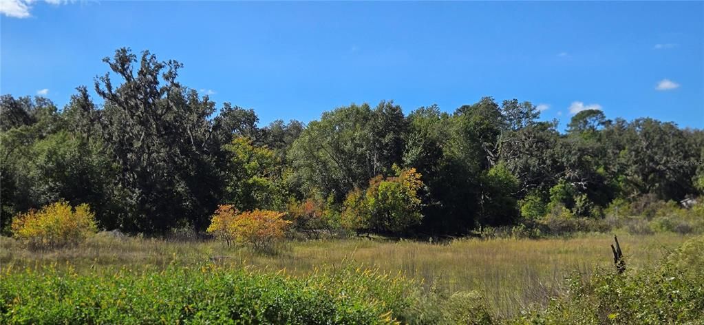 待售: $18,000 (0.30 acres)