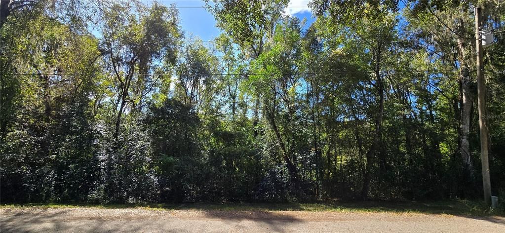 待售: $18,000 (0.30 acres)