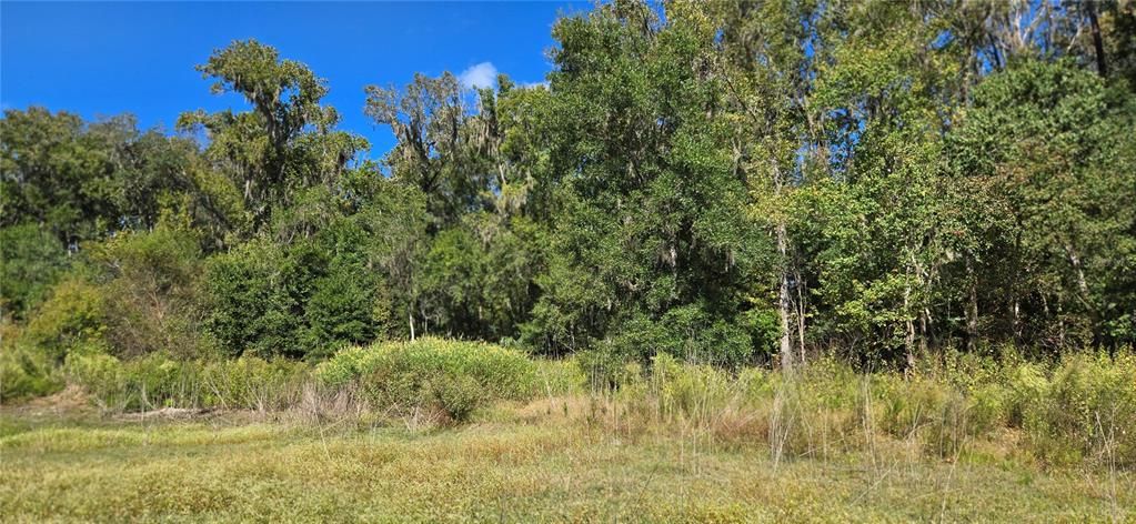 待售: $18,000 (0.30 acres)