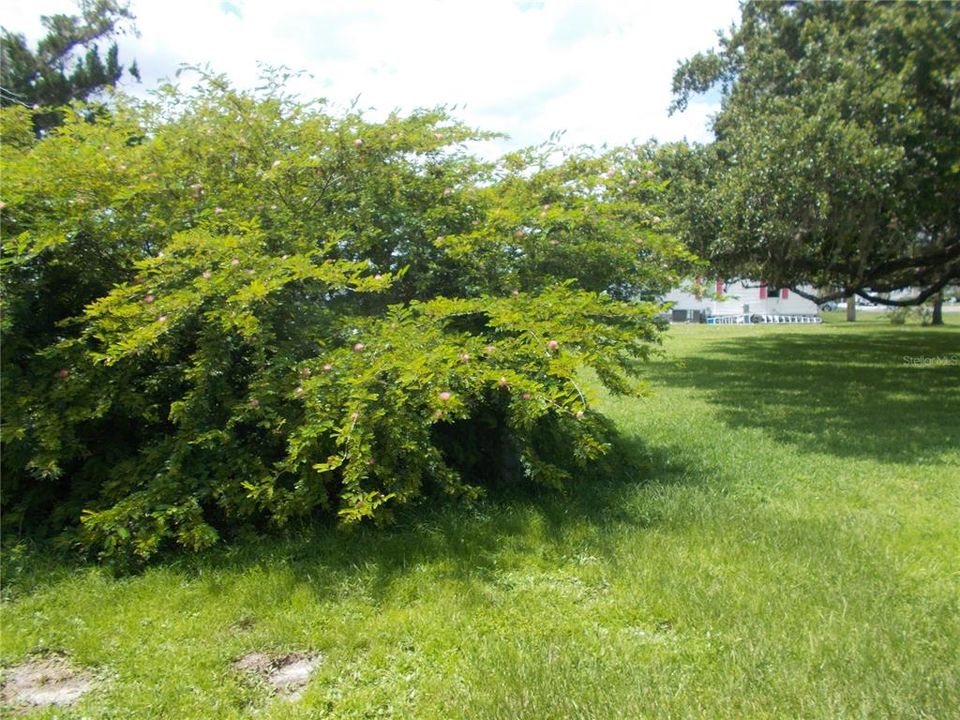 For Sale: $140,000 (2 beds, 2 baths, 1351 Square Feet)