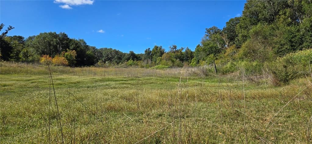 For Sale: $18,000 (0.31 acres)