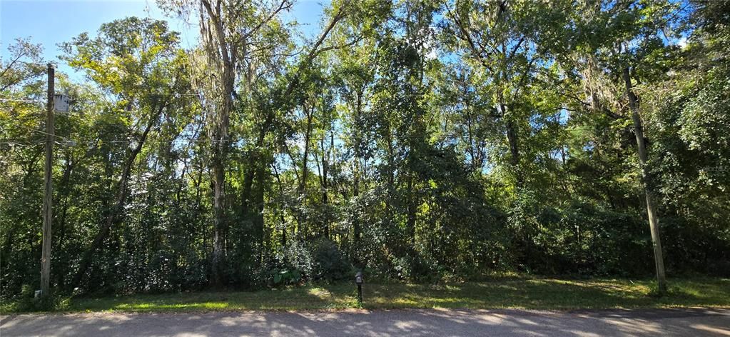 For Sale: $18,000 (0.31 acres)