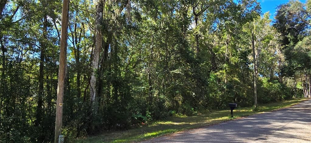 For Sale: $18,000 (0.31 acres)