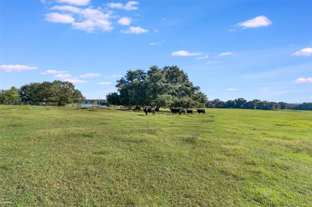 For Sale: $375,000 (10.00 acres)