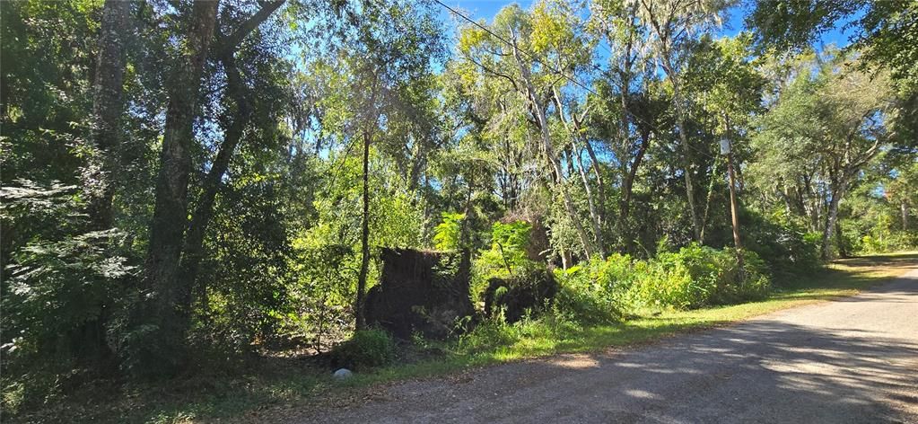 For Sale: $15,000 (0.22 acres)