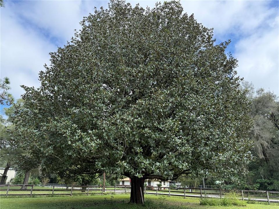 For Sale: $315,000 (3 beds, 2 baths, 1992 Square Feet)