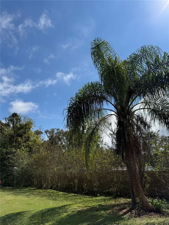 For Sale: $315,000 (3 beds, 2 baths, 1992 Square Feet)