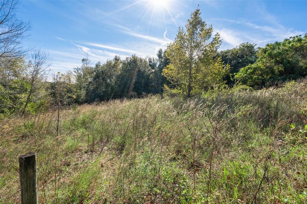 For Sale: $499,000 (4.77 acres)