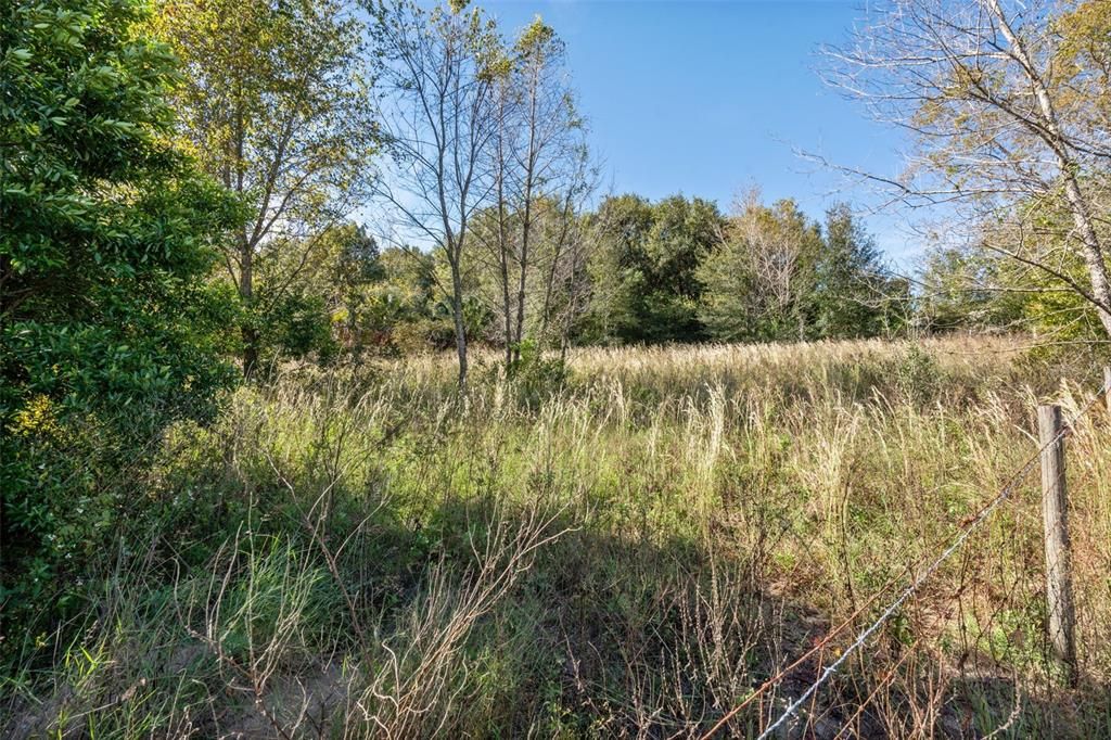 For Sale: $499,000 (4.77 acres)