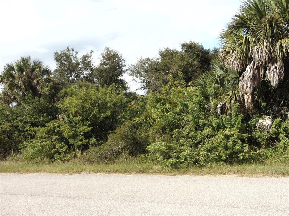 待售: $14,000 (0.23 acres)