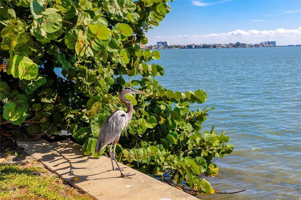 For Sale: $199,000 (2 beds, 2 baths, 1160 Square Feet)