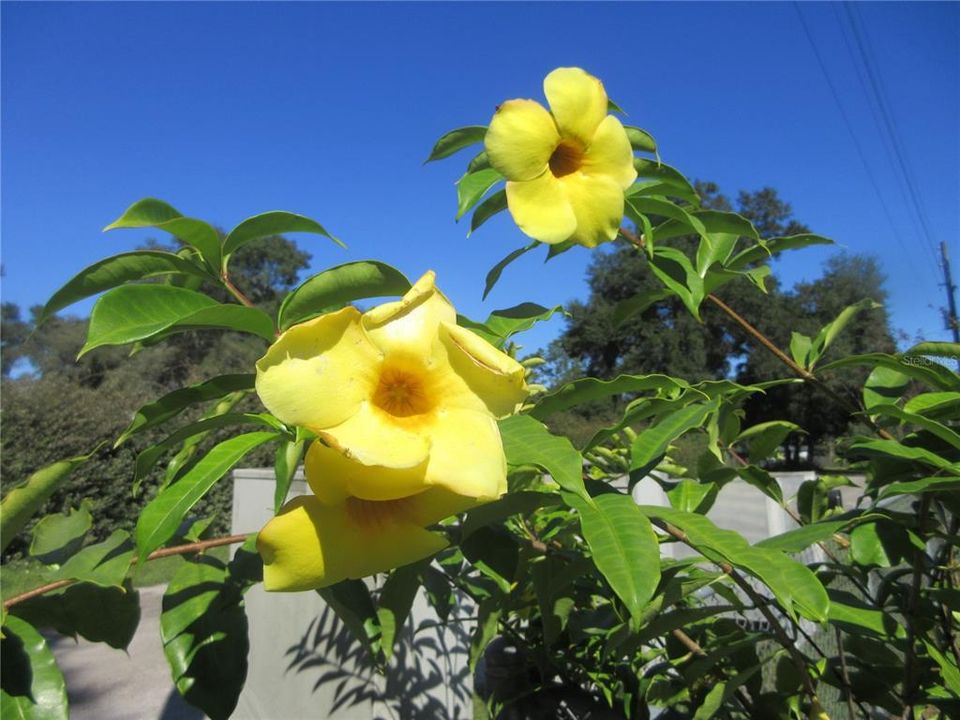 Active With Contract: $85,000 (2 beds, 2 baths, 1050 Square Feet)