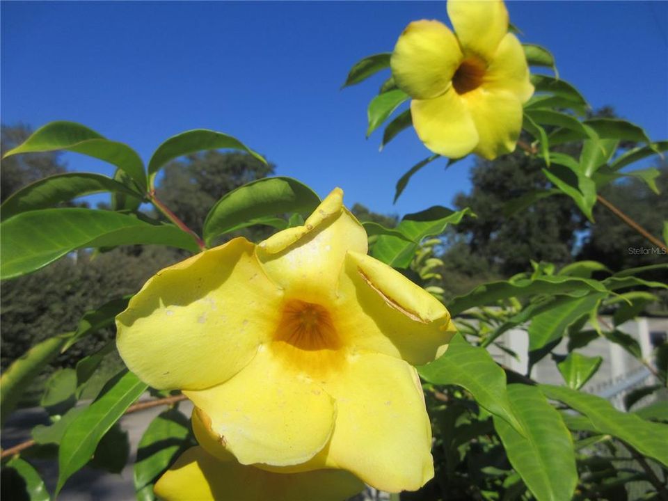 Active With Contract: $85,000 (2 beds, 2 baths, 1050 Square Feet)