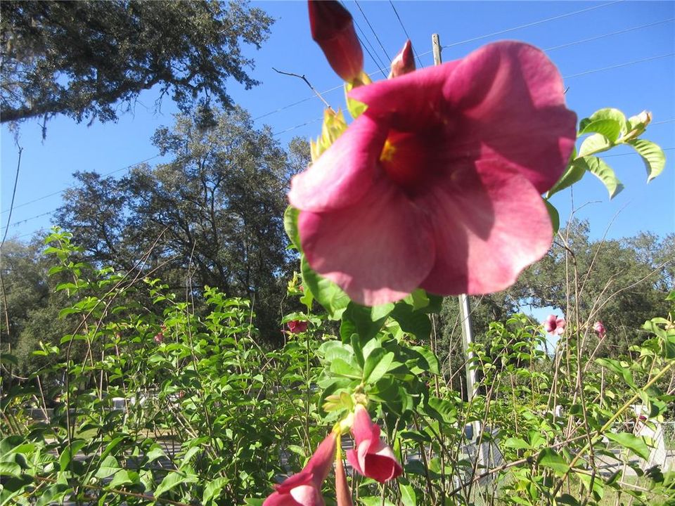 Active With Contract: $85,000 (2 beds, 2 baths, 1050 Square Feet)