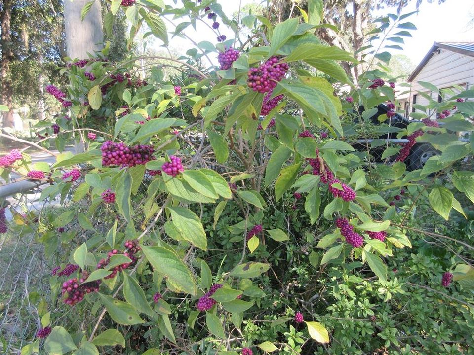 Active With Contract: $85,000 (2 beds, 2 baths, 1050 Square Feet)