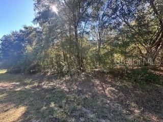 For Sale: $30,000 (0.25 acres)