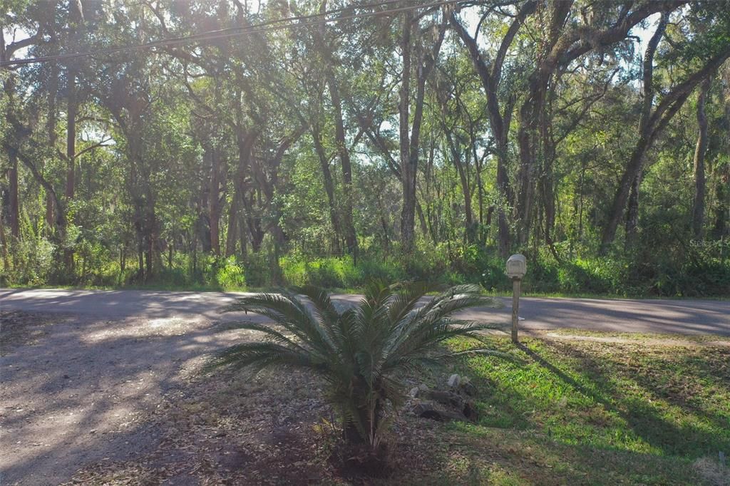 待售: $295,500 (3 贝兹, 2 浴室, 1728 平方英尺)