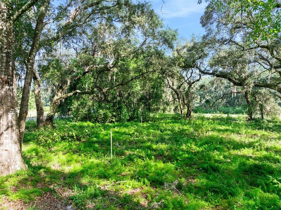 En Venta: $599,000 (20.14 acres)