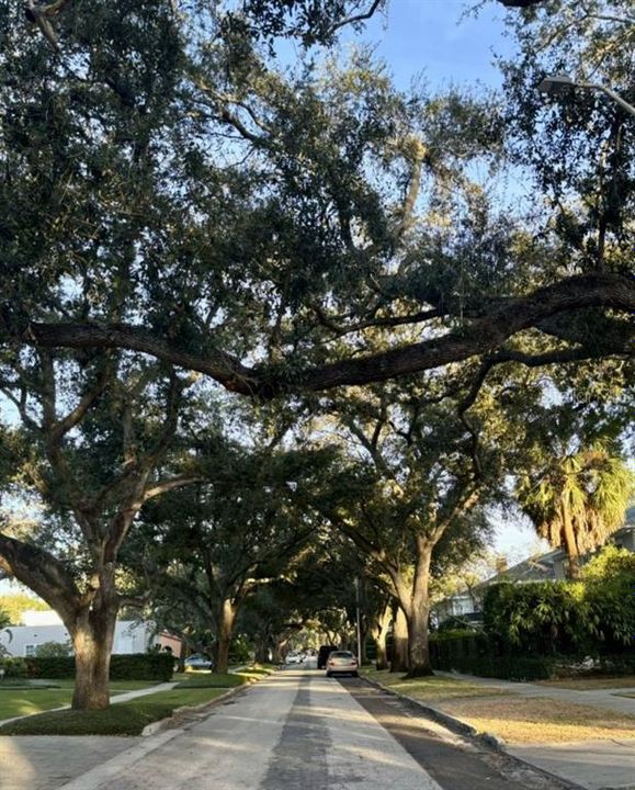 For Sale: $895,000 (3 beds, 2 baths, 1662 Square Feet)