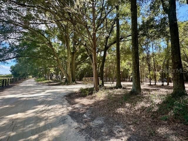 待售: $199,000 (8.97 acres)