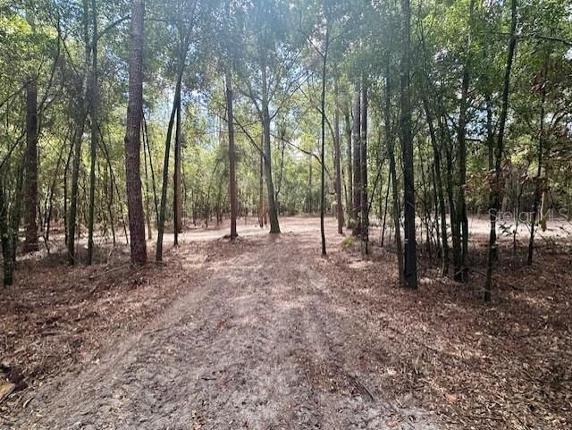 待售: $199,000 (8.97 acres)