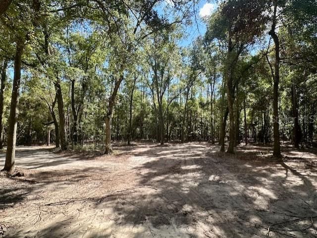 待售: $199,000 (8.97 acres)