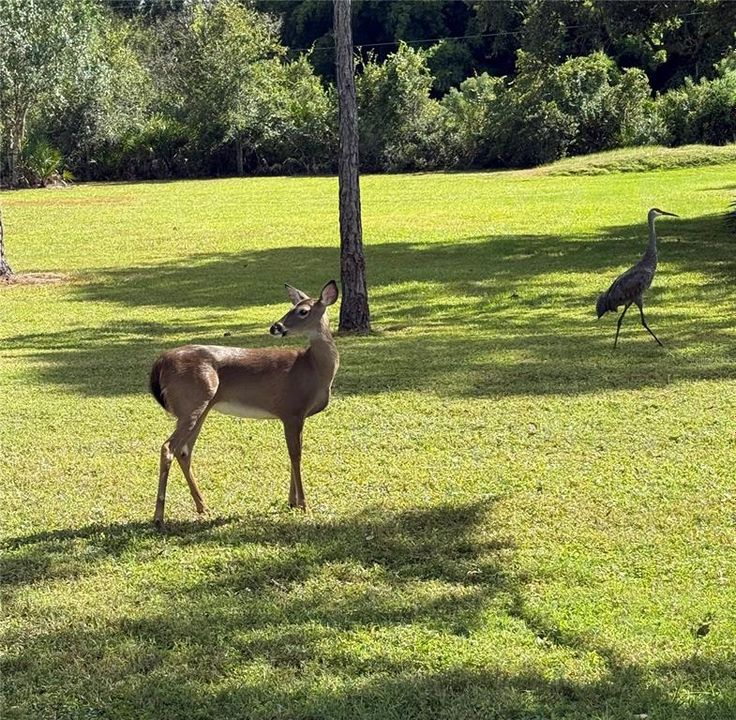 На продажу: $2,250,000 (4 спален, 4 ванн, 4003 Квадратных фут)
